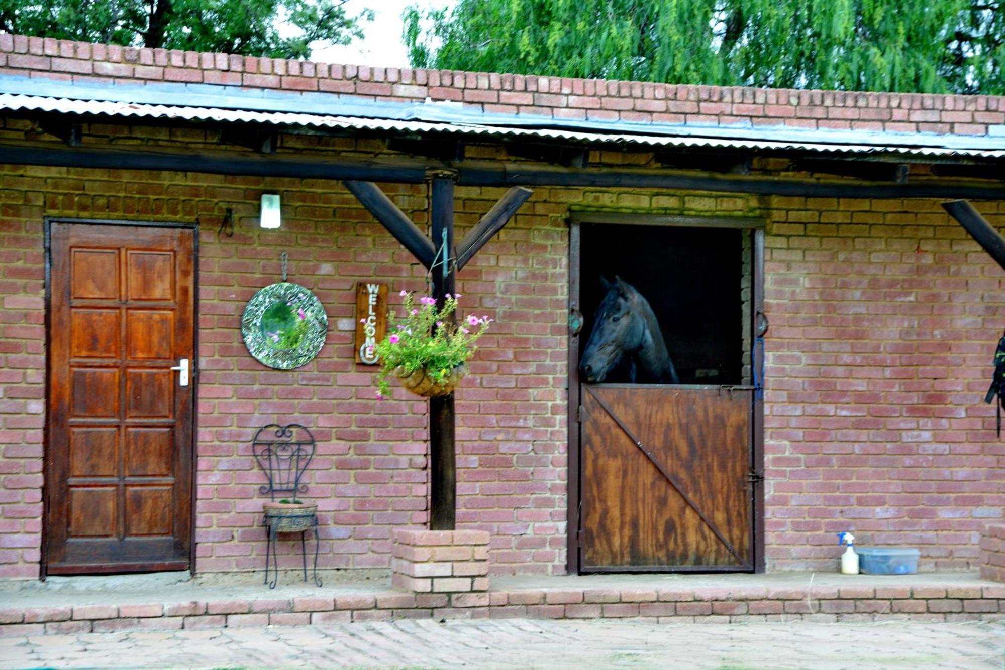 Owls Loft Guest House Midrand Dış mekan fotoğraf