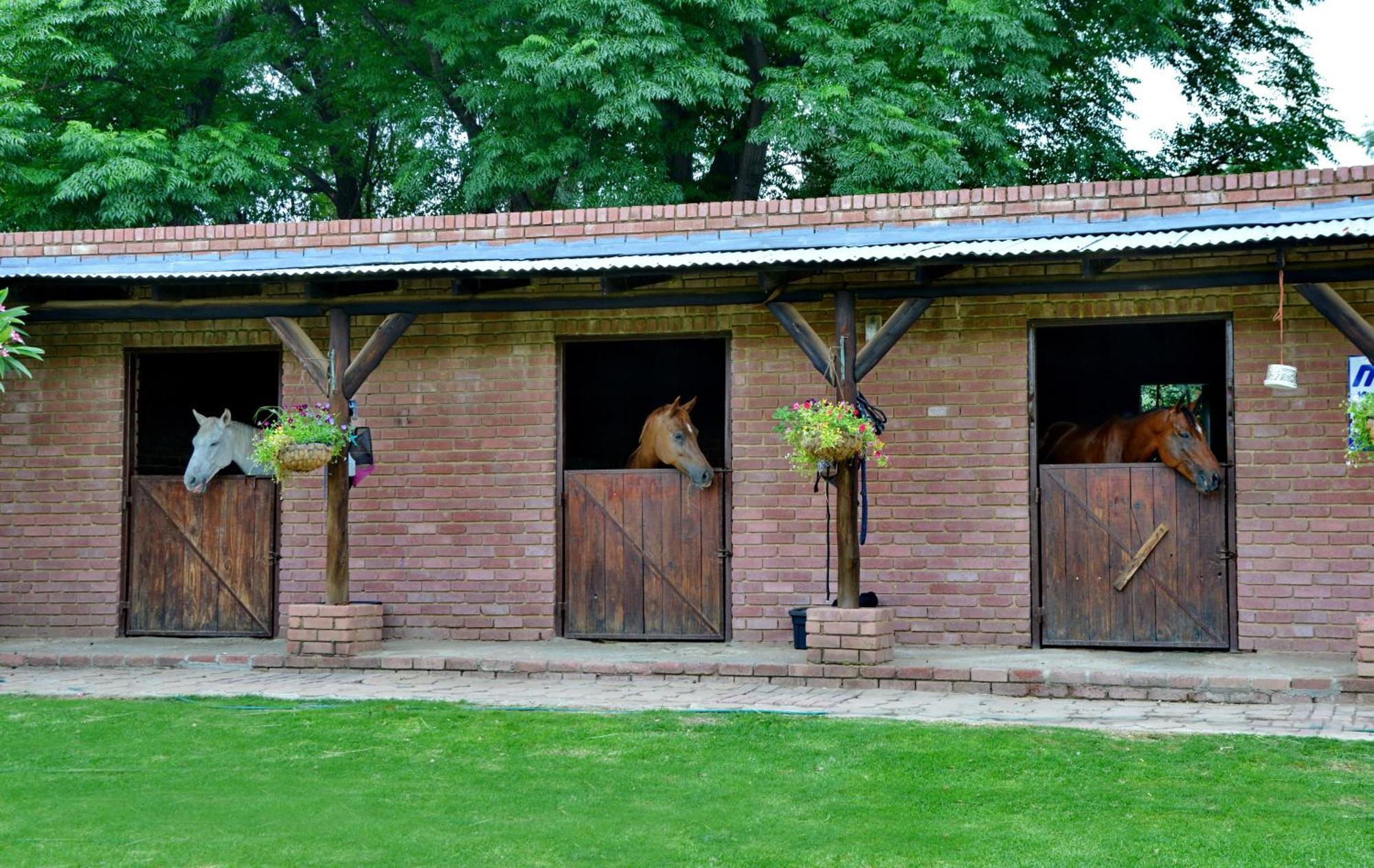 Owls Loft Guest House Midrand Dış mekan fotoğraf